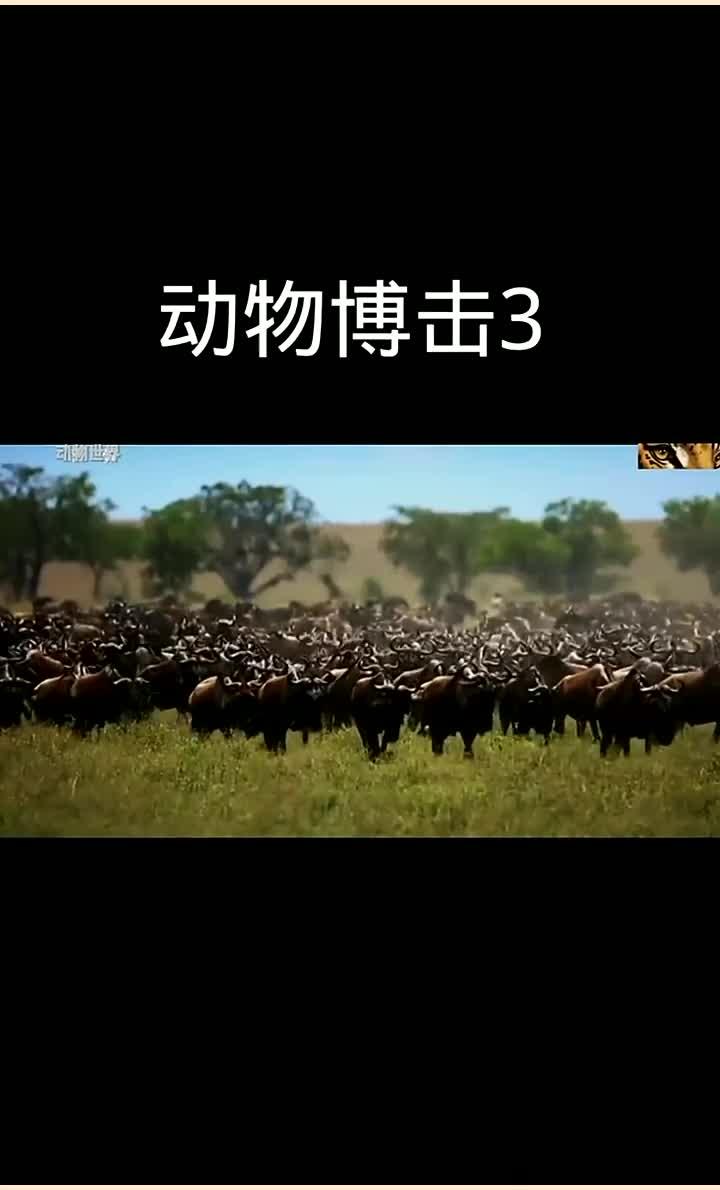 Karsa在快船比赛中最后时刻胜出，最后时刻胜出引发热议！